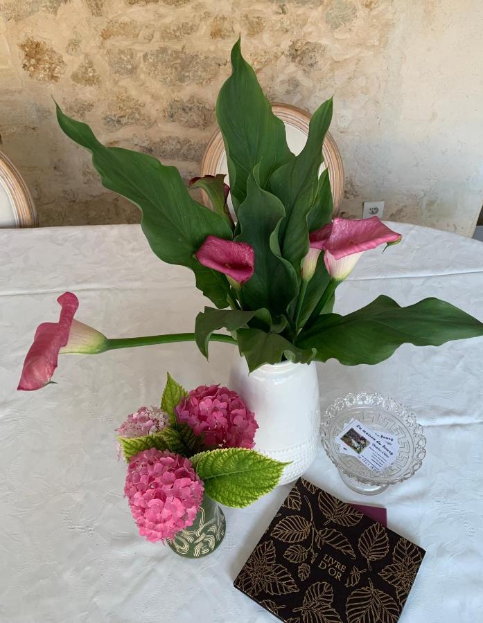 Puisseguin La Maison Du Bourg B&B المظهر الخارجي الصورة